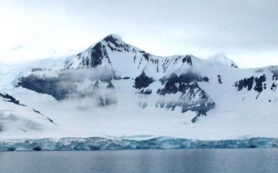 Seasonal and Diurnal Dynamics of Subglacial Channels: Observations Beneath an Alpine Glacier